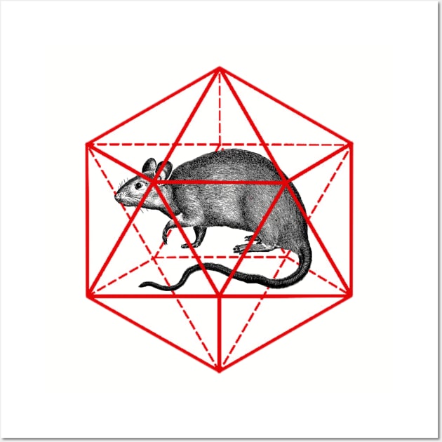 Rat in icosahedron Wall Art by hardcore repertoire
